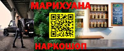прущие грибы Шелехов