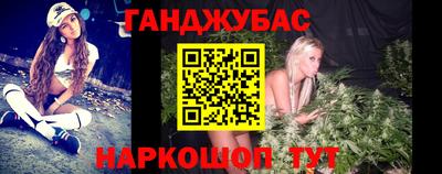 прущие грибы Шелехов