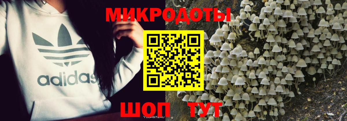 купить   Вход с VPN  Галлюциногенные грибы ЛСД  Грозный  Псилоцибиновые грибы GOLDEN TEACHER 